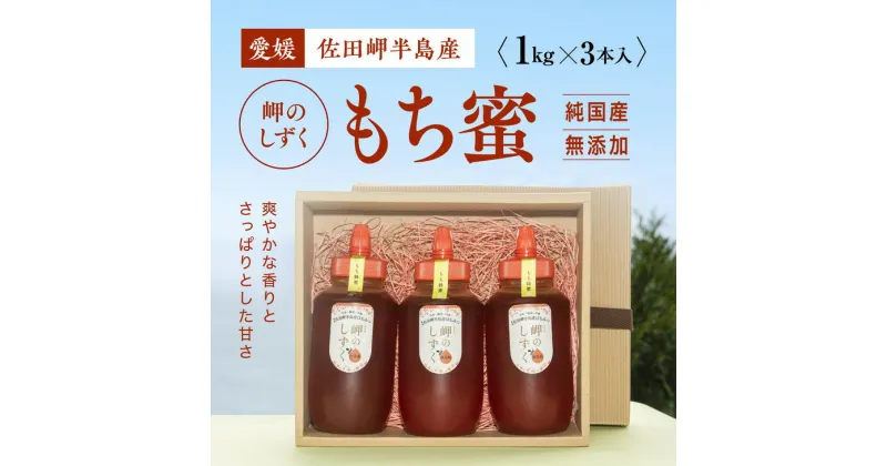 【ふるさと納税】【もち蜂蜜】みかん農園のはちみつ 1kg×3本入｜ 愛媛県産 伊方町特産品 佐田岬 大岩農園 岬のしずく 蜂蜜 もち蜂蜜 純国産 無添加 自然の恵み ※離島への配送不可