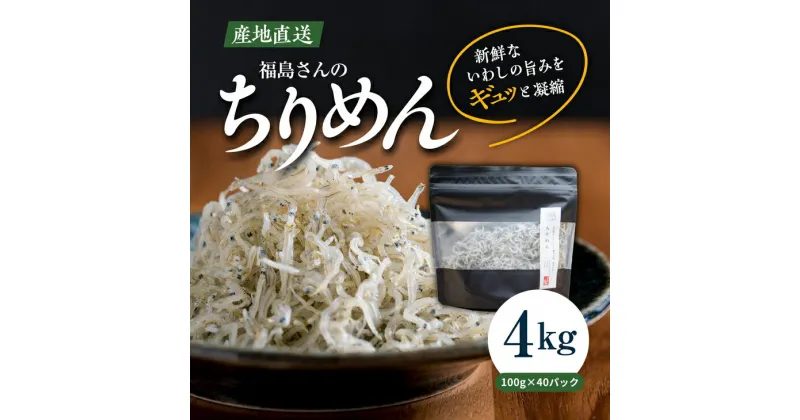 【ふるさと納税】【網元直送・個包装】福島さんちのちりめん100g×40パック◇｜ 愛媛県産 伊方町 佐田岬 朝日共販 ちりめん 産地直送 極上鮮度 旨味凝縮 贈答用