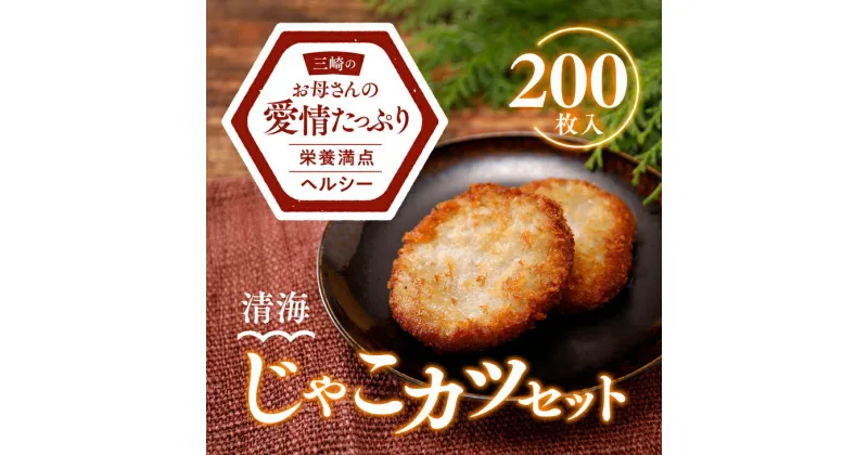 【ふるさと納税】練り物 佐田岬名物 じゃこカツ（200枚） ｜ 練り物 じゃこ天 じゃこカツ ご当地グルメ おかず おやつ おつまみ 冷凍 愛媛