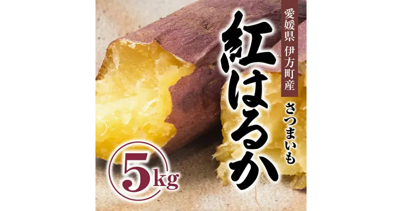 【ふるさと納税】【先行受付】しっとりして甘い　紅はるか5kg ｜ さつまいも サツマイモ 焼き芋 やきいも 産地直送 スイート　※2024年9月中旬～2025年5月上旬頃まで順次発送予定