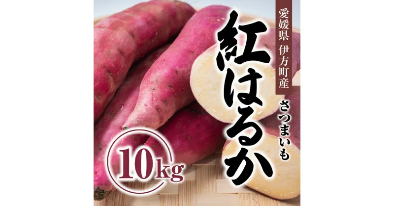 【ふるさと納税】【先行受付】しっとりして甘い　紅はるか10kg ｜ さつまいも サツマイモ 焼き芋 やきいも 産地直送 スイート　※2024年9月中旬～2025年5月上旬頃まで順次発送予定