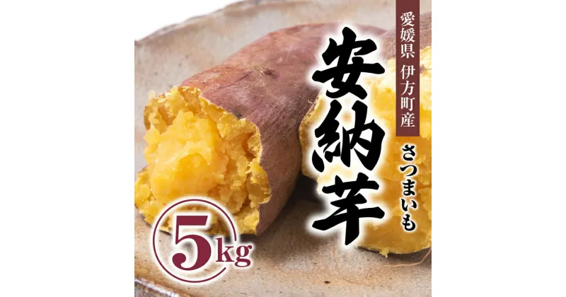 【ふるさと納税】【先行受付】高糖度で人気定番！安納芋5kg ｜ さつまいも サツマイモ 焼き芋 やきいも 産地直送 スイート　※2024年10月中旬～2025年3月中旬頃まで順次発送予定