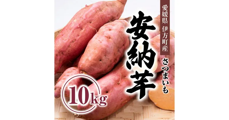 【ふるさと納税】【先行受付】高糖度で人気定番！安納芋10kg ｜ さつまいも サツマイモ 焼き芋 やきいも 産地直送 スイート　※2024年10月中旬～2025年3月中旬頃まで順次発送予定