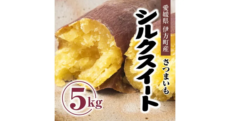 【ふるさと納税】【先行受付】シルクスイート5kg ｜ さつまいも サツマイモ 焼き芋 やきいも 産地直送 スイート 上品な甘み 絹のような なめらかな食感　※2024年10月中旬～2025年5月上旬頃まで順次発送予定