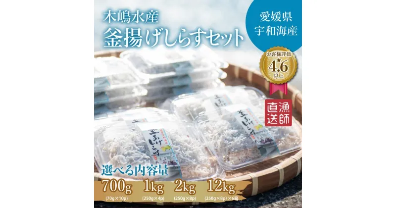 【ふるさと納税】【選べる内容量】【愛媛県・佐田岬直送】木嶋水産の釜揚げしらす ｜ 魚介類 海産物 魚 釜揚げ しらす シラス 小分け やみつき ご飯のお供 おつまみ 酒の肴 おやつ しらす丼 サラダ 海産物 魚 冷凍 国産 愛媛県産　※離島への配送不可