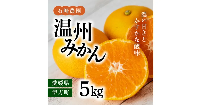 【ふるさと納税】【先行予約】【数量限定】温州みかん5kg【石崎農園】｜柑橘 みかん 温州みかん ミカン 蜜柑 果物 フルーツ 愛媛県産 ※離島への配送不可 ※2024年12月頃より順次発送予定