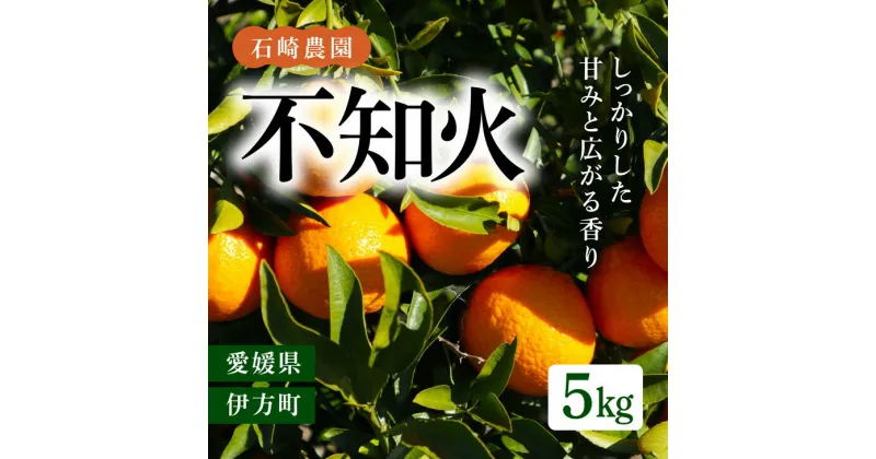 【ふるさと納税】【先行予約】【数量限定】不知火5kg【石崎農園】｜柑橘 みかん ミカン 蜜柑 デコポン 果物 フルーツ 愛媛県産 ※離島への配送不可 ※2025年2月中旬頃より順次発送予定