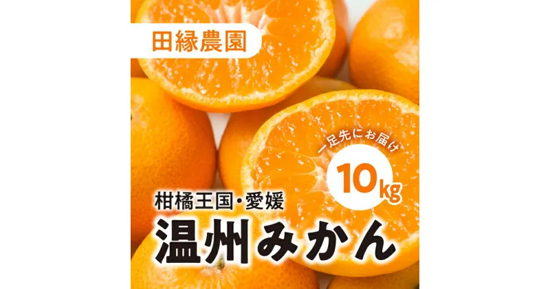 【ふるさと納税】【先行予約】【数量限定】田縁農園の温州みかん（生果）10kg ｜ 柑橘 みかん ミカン フルーツ 果物 愛媛 ※離島への配送不可 ※2024年11月上旬～12月下旬頃より順次発送予定