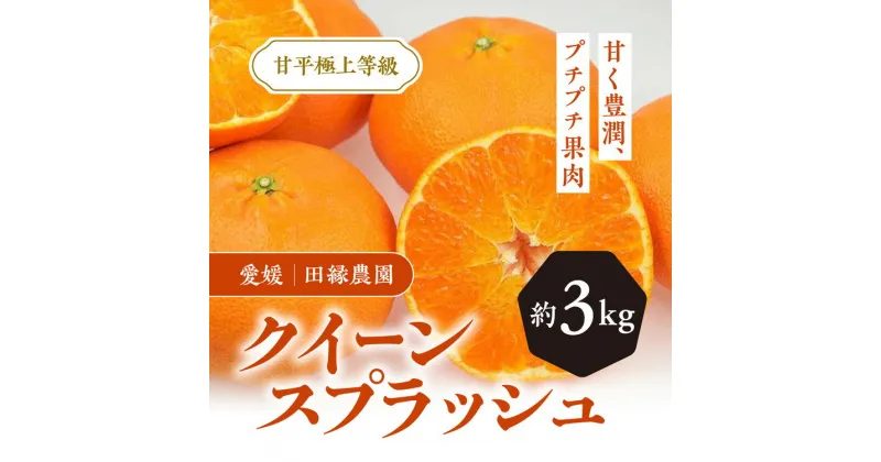 【ふるさと納税】【先行予約】【数量限定】田縁農園のクイーンスプラッシュ3kg ｜ 柑橘 みかん ミカン フルーツ 果物 愛媛 ※離島への配送不可 ※2025年2月上旬～2月下旬頃に順次発送予定