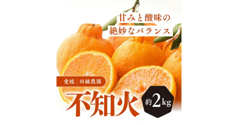 【ふるさと納税】【先行予約】【数量限定】田縁農園の不知火（しらぬい）2kg ｜ 柑橘 みかん ミカン フルーツ 果物 でこぽん デコポンと同品種 愛媛 ※離島への配送不可 ※2025年2月上旬～3月上旬頃に順次発送予定