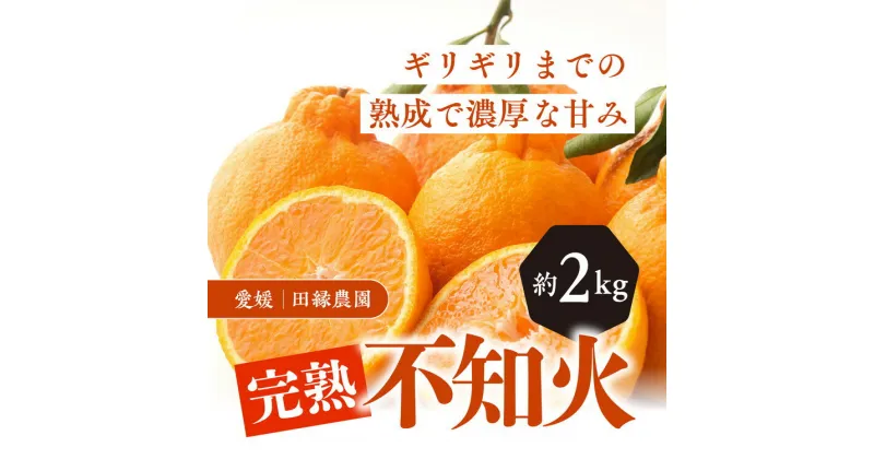 【ふるさと納税】【先行予約】【数量限定】田縁農園の完熟不知火（しらぬい）2kg ｜ 柑橘 みかん ミカン フルーツ 果物 でこぽん デコポンと同品種 愛媛 ※離島への配送不可 ※2025年3月下旬～4月上旬頃に順次発送予定