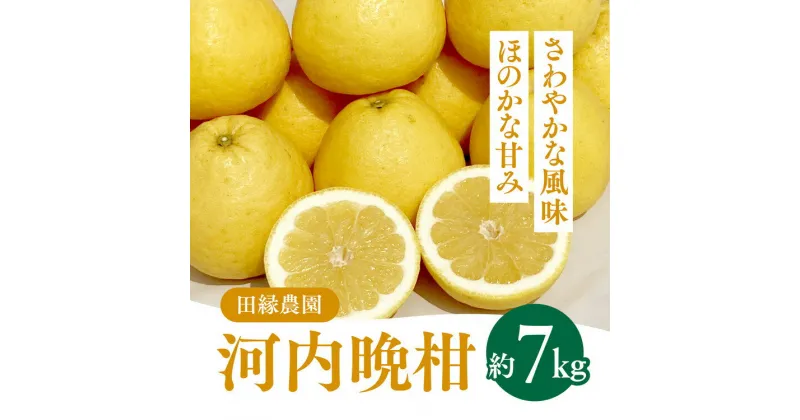 【ふるさと納税】田縁農園の河内晩柑約7kg ※離島への配送不可 ※2025年4月上旬頃より順次発送予定