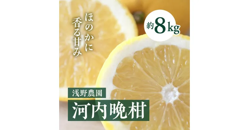 【ふるさと納税】【先行予約】浅野農園の河内晩柑 約8kg｜柑橘 みかん ミカン フルーツ 果物 愛媛 ※2025年6月上旬頃より順次発送予定 ※離島への配送不可