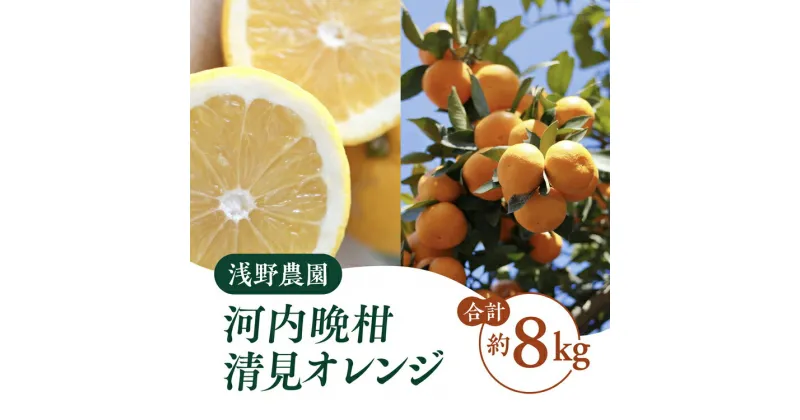 【ふるさと納税】【先行予約】浅野農園の河内晩柑と清見オレンジミックス約8kg｜柑橘 みかん ミカン フルーツ 果物 愛媛 ※2025年6月上旬頃より順次発送予定 ※離島への配送不可