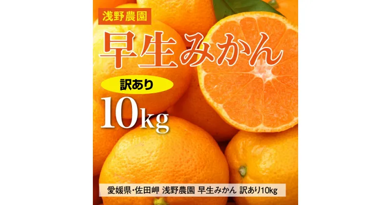 【ふるさと納税】【先行予約】浅野農園の早生みかん 訳あり10kg｜柑橘 みかん ミカン フルーツ 果物 愛媛 ※2024年11月上旬～11月中旬頃に順次発送予定 ※離島への配送不可