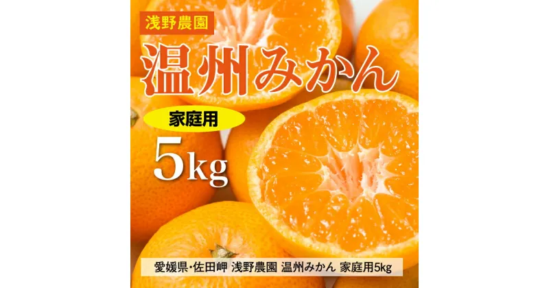 【ふるさと納税】【先行予約】浅野農園の温州みかん 家庭用5kg｜柑橘 みかん ミカン フルーツ 果物 愛媛 ※2024年12月上旬～12月中旬頃に順次発送予定 ※離島への配送不可