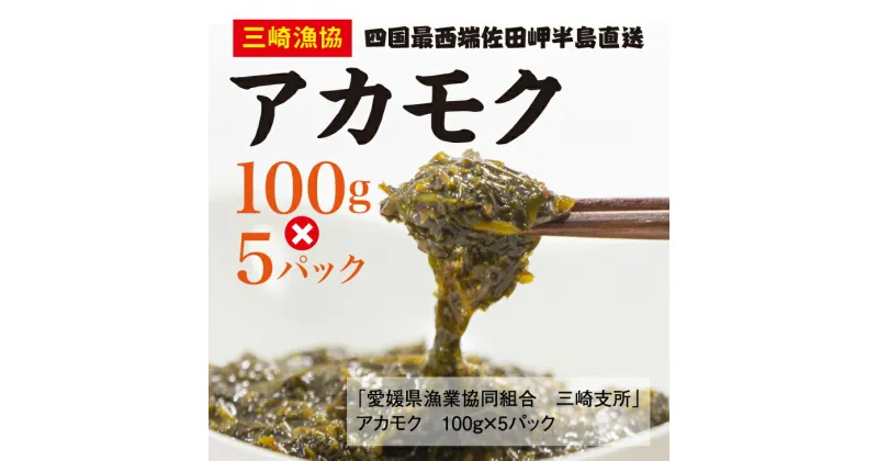 【ふるさと納税】三崎のアカモク500g（100g×5パック）＜海 海藻 近年注目 強い粘り 甘み 特徴 愛媛＞　※離島への配送不可