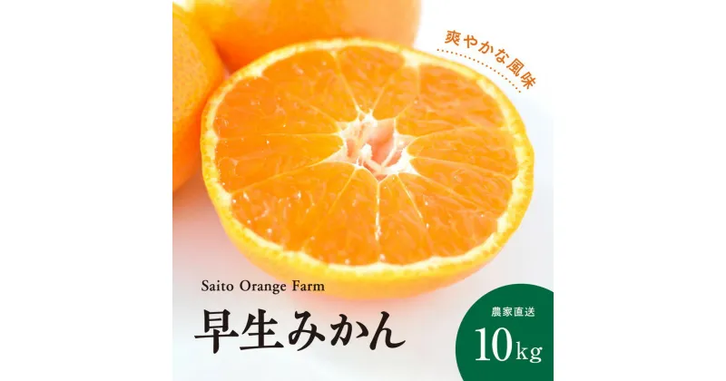 【ふるさと納税】【先行予約】Saito Orange Farmの早生（わせ）みかん10kg ｜ 柑橘 みかん ミカン フルーツ 果物 愛媛　※離島への配送不可　※2024年12月上旬頃より順次発送予定