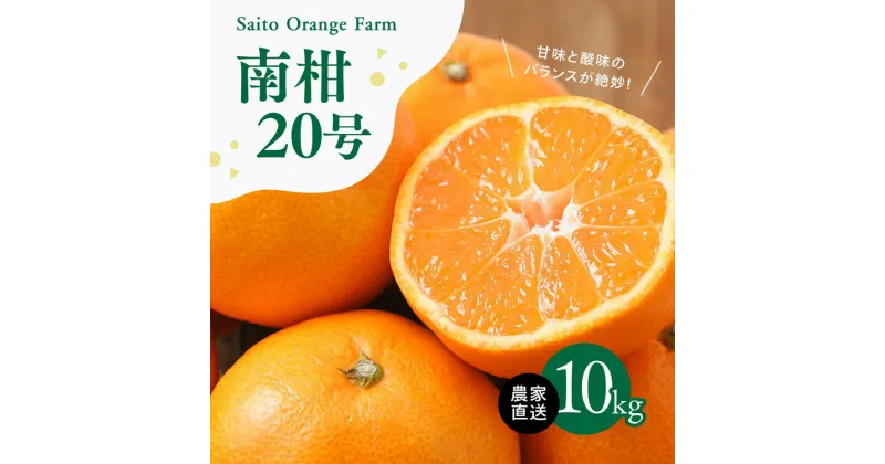 【ふるさと納税】【先行予約】Saito Orange Farmの南柑20号10kg ｜ 温州みかん 代表 柑橘 みかん ミカン フルーツ 果物 愛媛　※離島への配送不可　※2024年12月上旬頃より順次発送予定