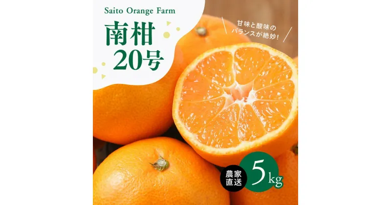 【ふるさと納税】【先行予約】Saito Orange Farmの南柑20号5kg ｜ 温州みかん 代表 柑橘 みかん ミカン フルーツ 果物 愛媛　※離島への配送不可　※2024年12月下旬頃より順次発送予定