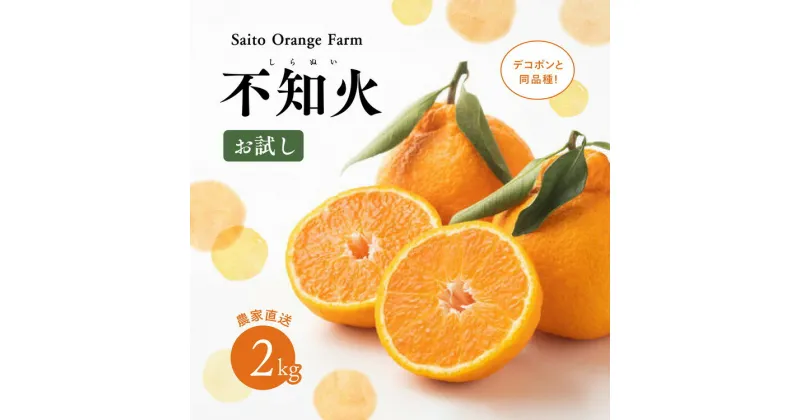 【ふるさと納税】【先行予約】【お試し！】Saito Orange Farmの不知火2kg ｜ 柑橘 みかん ミカン フルーツ 果物 でこぽん デコポンと同品種 愛媛　※離島への配送不可　※2025年3月中旬頃より順次発送予定