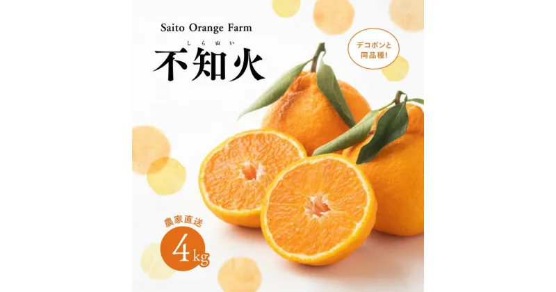 【ふるさと納税】【先行予約】Saito Orange Farmの不知火4kg ｜ 柑橘 みかん ミカン フルーツ 果物 でこぽん デコポンと同品種 愛媛　※離島への配送不可　※2025年3月中旬頃より順次発送予定