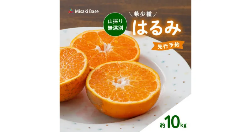 【ふるさと納税】【先行受付】【数量限定】【山採り無選別】はるみ 10kg | みかん 柑橘 ミカン 蜜柑 mikan 果物 フルーツ 糖度 甘い 愛媛県 伊方町 ※2025年2月上旬～2月下旬頃に順次発送予定 ※離島への配送不可