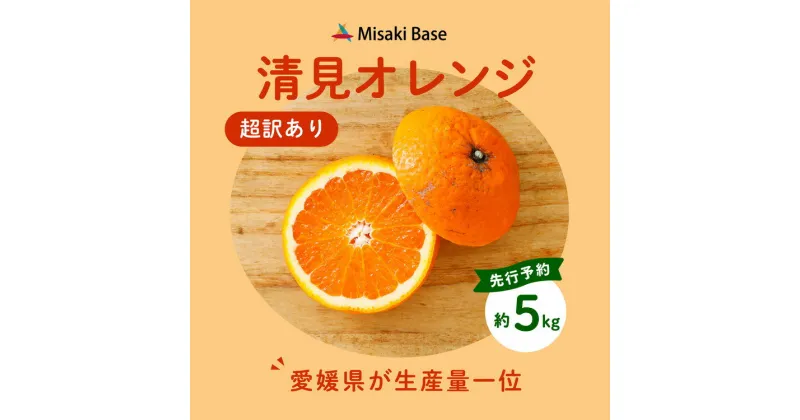 【ふるさと納税】【先行受付】【※超訳あり】清見オレンジ 5kg | みかん 柑橘 ミカン 蜜柑 mikan 果物 フルーツ 糖度 甘い きよみ タンゴール 温州 オレンジ ミックス 愛媛県 伊方町 Misaki Base ※2025年3月中旬～4月中旬頃に順次発送予定 ※離島への配送不可