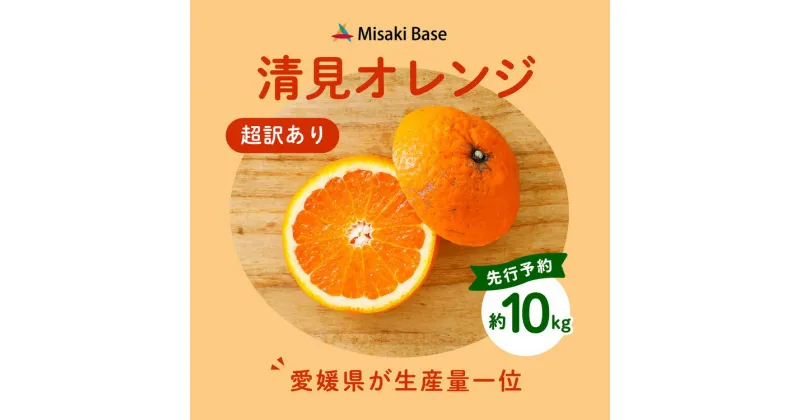 【ふるさと納税】【先行受付】【※超訳あり】清見オレンジ 10kg | みかん 柑橘 ミカン 蜜柑 mikan 果物 フルーツ 糖度 甘い きよみ タンゴール 温州 オレンジ ミックス 愛媛県 伊方町 Misaki Base ※2025年3月中旬～4月中旬頃に順次発送予定 ※離島への配送不可