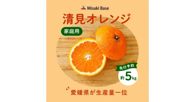 【ふるさと納税】【先行受付】【家庭用】清見オレンジ 5kg | みかん 柑橘 ミカン 蜜柑 mikan 果物 フルーツ 糖度 甘い きよみ タンゴール 温州 オレンジ ミックス 愛媛県 伊方町 Misaki Base ※2025年3月中旬～4月中旬頃に順次発送予定 ※離島への配送不可