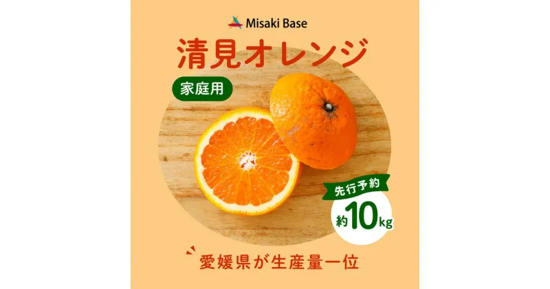 【ふるさと納税】【先行受付】【家庭用】清見オレンジ 10kg | みかん 柑橘 ミカン 蜜柑 mikan 果物 フルーツ 糖度 甘い きよみ タンゴール 温州 オレンジ ミックス 愛媛県 伊方町 Misaki Base ※2025年3月中旬～4月中旬頃に順次発送予定 ※離島への配送不可