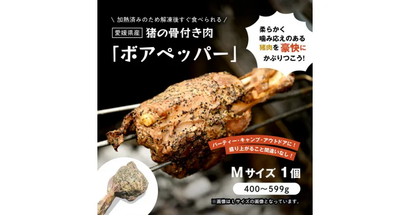 【ふるさと納税】猪のマンガ肉 ボアペッパー Mサイズ 400～599g｜ 味付き 愛媛県産 ジビエ 猪肉 BBQ ギフト プレゼント 骨付き肉 アウトドア 夏休み