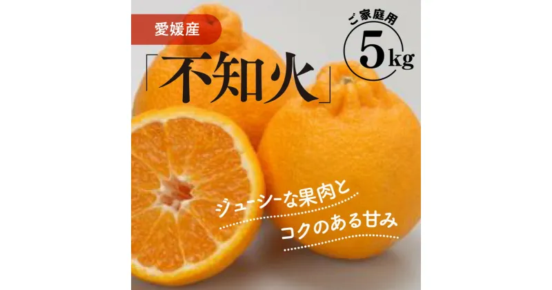 【ふるさと納税】【家庭用】不知火 5kg ｜ 柑橘 みかん ミカン 蜜柑 果物 フルーツ 愛媛県 伊方町産 でこぽん デコポンと同品種　※離島への配送不可　※2025年2月上旬～2月下旬頃に順次発送予定