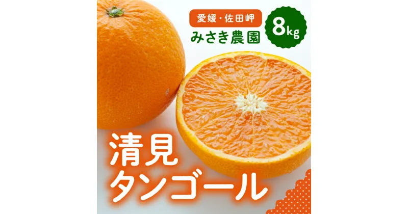 【ふるさと納税】清見タンゴール 8kg ｜ 柑橘 みかん ミカン 蜜柑 mikan 産地直送 果物 フルーツ 愛媛県 伊方町　※北海道、沖縄・離島への配送不可　※2025年3月中旬頃から順次発送予定