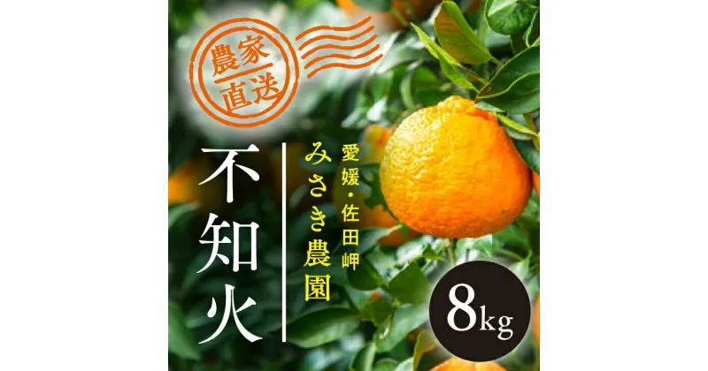 【ふるさと納税】不知火 8kg ｜ 柑橘 みかん ミカン 蜜柑 mikan 産地直送 果物 フルーツ 愛媛県 伊方町 デコポン でこぽんと同品種　※北海道、沖縄・離島への配送不可　※2025年3月上旬頃から順次発送予定