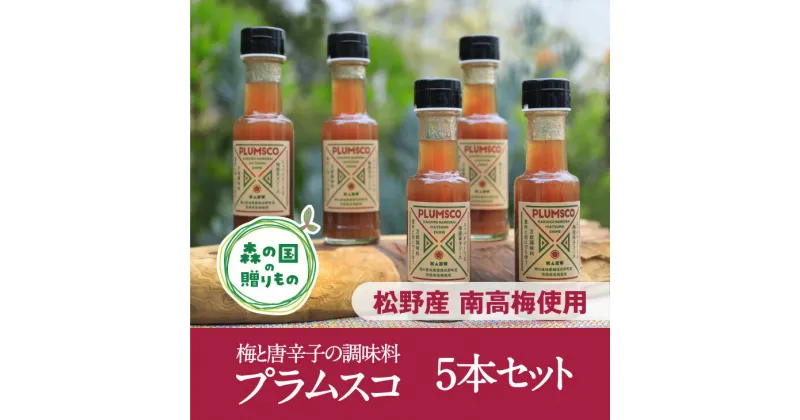 【ふるさと納税】【松野町産 南高梅果肉入り】梅と唐辛子の調味料「プラムスコ」（100ml）×5本◇