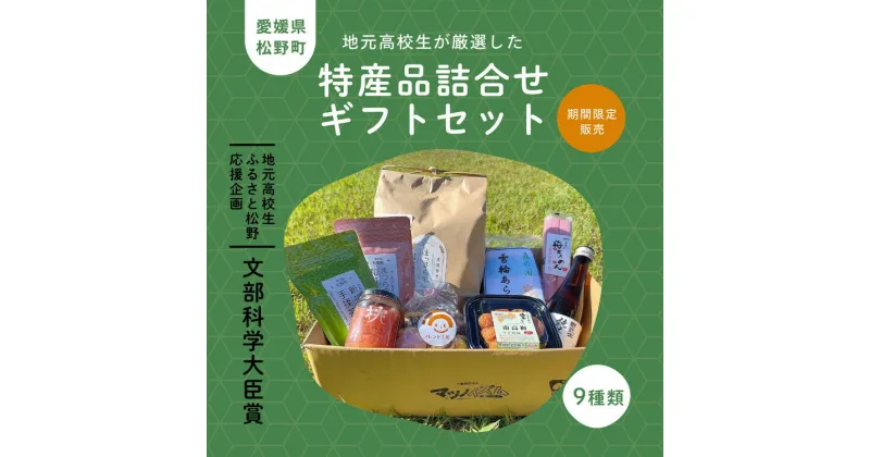 【ふるさと納税】【地元高校生ふるさと松野応援企画】文部科学大臣賞を受賞した地元高校生が厳選!! 松野町特産品詰合せギフトセット9種類（期間限定販売）