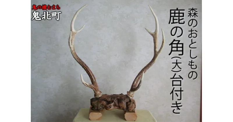 【ふるさと納税】森のおとしもの(5)鹿の角（大）台付き＜インテリア 民芸品 工芸品 オブジェ 角 鹿 しか シカ 愛媛県 鬼北町＞