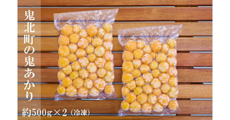 【ふるさと納税】冷凍鬼あかり（ほおずき）500g×2パック＜鬼灯 ホウズキ 特産品 冷凍 フルーツ ジャム 愛媛県 鬼北町＞