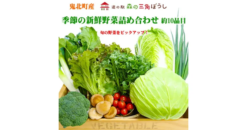 【ふるさと納税】季節の新鮮野菜詰め合わせ　＜野菜 やさい 詰め合わせ 新鮮 旬 季節 愛媛県 鬼北町＞