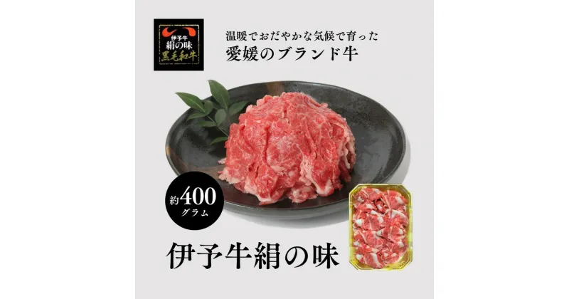 【ふるさと納税】伊予牛「絹の味」黒毛和牛 小間切れ400g＜肉 お肉 牛肉 ブランド肉 おかず すき焼き 愛媛県＞ ※離島への配送不可