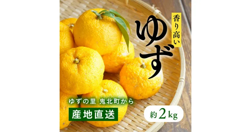 【ふるさと納税】愛媛県鬼北町産ゆず　約2kg【 果物 柑橘 国産 日本産 香りが強い 良質なゆず ゆずの里 産地直送 ゆずジャム ゆず茶 】※2024年10月中旬～11月下旬頃に順次発送予定