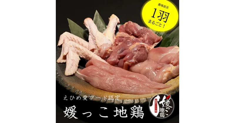 【ふるさと納税】えひめ愛フード認定 「媛っこ地鶏」 1羽まるごと！　＜肉 お肉 鶏肉 とり肉モモ ムネ ササミ 内臓 手羽元 手羽先 もも むね 胸 ささみ＞ ※着日指定不可