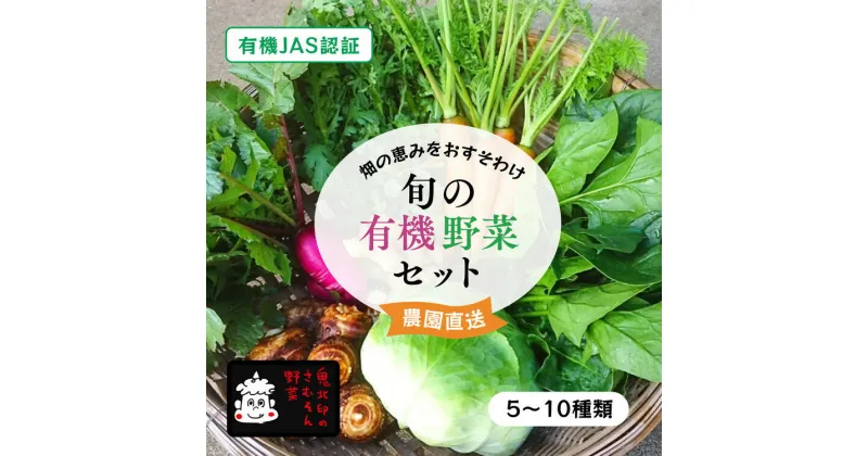 【ふるさと納税】有機野菜セット＜野菜 やさい 詰め合わせ 野菜セット 旬 季節 サラダ 新鮮 産地直送 セット 愛媛県 鬼北町＞ ※離島への配送不可