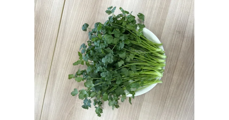 【ふるさと納税】LED水耕栽培 香味野菜（パクチー）250g＜野菜 やさい パクチー 香草野菜 美容 オーガニック アジア野菜 愛媛県 鬼北町＞　※離島への配送不可