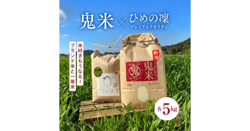 【ふるさと納税】【R6年産新米】【先行予約】【鬼北町×愛媛県】鬼米×ひめの凜（プレミアムクオリティ）各5kgブランド米セット ※2024年11月上旬より順次発送予定 ＜米 コメ こめ 精米 お米 白米 ブランド米 コシヒカリ セット 一等米 愛媛県 鬼北町 ＞