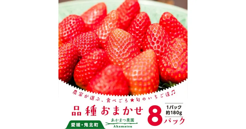 【ふるさと納税】いちご 品種おまかせ8パック あかまつ農園 ＜苺 いちご イチゴ 果物 フルーツ 農家直送 レッドパール 紅い雫 紅ほっぺ 贈り物 ギフト＞　※2025年2月中旬～3月中旬頃に順次発送予定