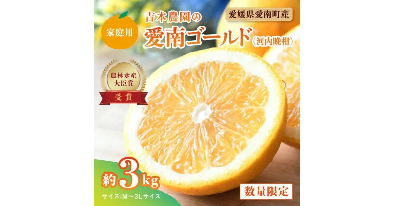 【ふるさと納税】【先行予約】吉本農園の愛南ゴールド（河内晩柑）家庭用約3kg　＜柑橘 希少 果物 国産 フルーツ みかん 蜜柑 家庭用 和製 グレープフルーツ ブランド 果実 ビタミン 愛媛県 鬼北町＞ ※2025年4月上旬～8月上旬頃に順次発送予定