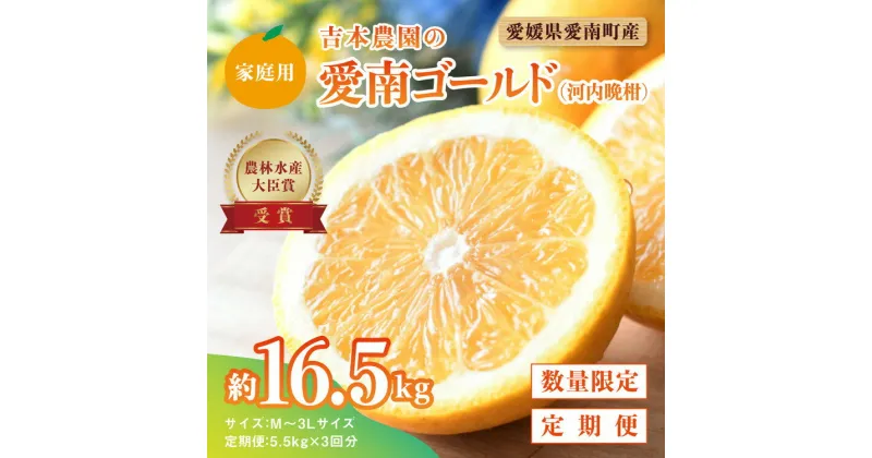 【ふるさと納税】【先行予約】河内晩柑3回お届け定期便／家庭用愛南ゴールド 5.5kg×3回＜柑橘 希少 果物 国産 フルーツ みかん 蜜柑 定期便 家庭用 和製 グレープフルーツ ブランド 果実 ビタミン 愛媛県 鬼北町 ＞ ※2025年4月上旬～8月上旬頃に順次発送予定