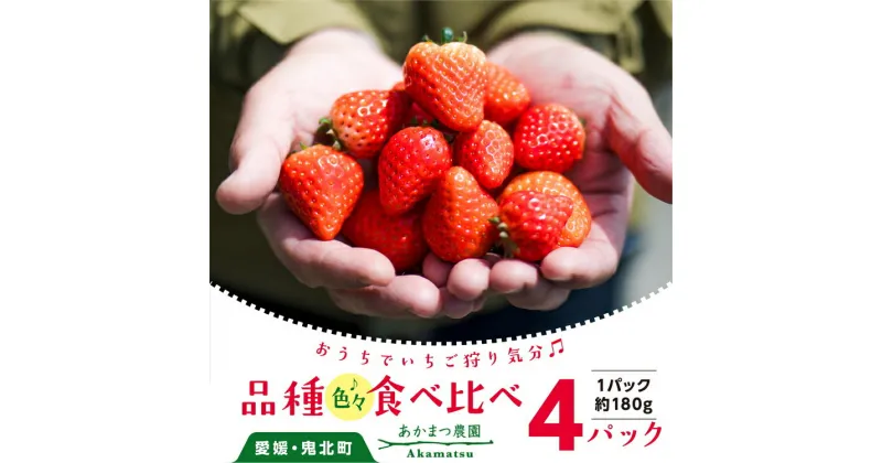 【ふるさと納税】いちご 食べ比べ 4パック　あかまつ農園 ＜苺 いちご イチゴ 果物 フルーツ 農家直送 レッドパール 紅い雫 紅ほっぺ 贈り物 ギフト＞　※2025年2月中旬～3月中旬頃に順次発送予定